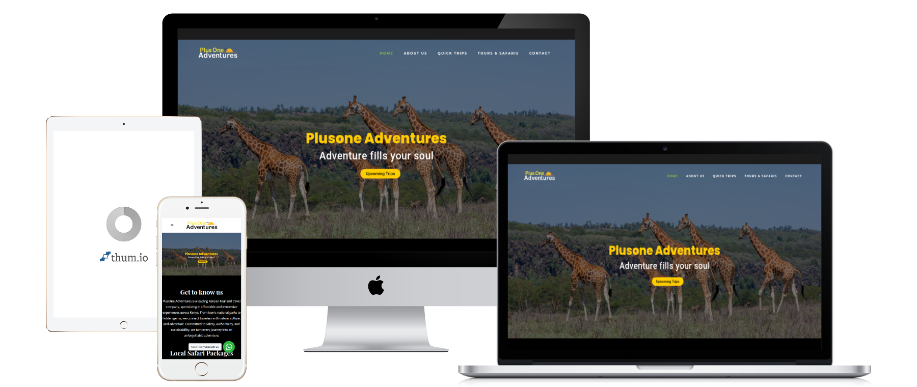 africa web designers